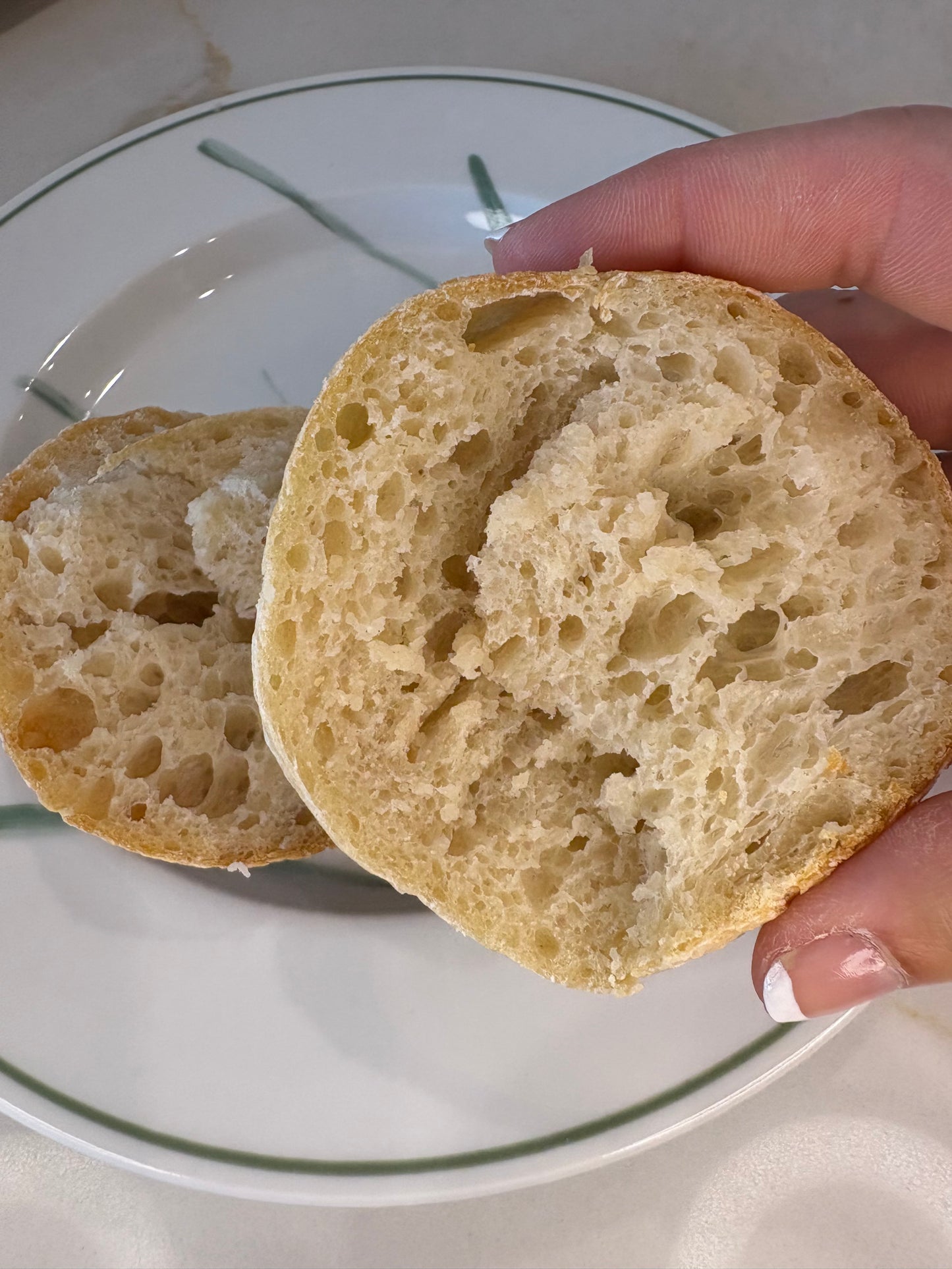 Sourdough Dinner Rolls (Holiday Pre-Order)
